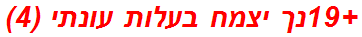 +19נך יצמח בעלות עונתי (4)