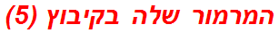 המרמור שלה בקיבוץ (5)