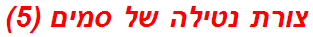 צורת נטילה של סמים (5)
