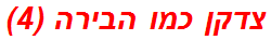צדקן כמו הבירה (4)