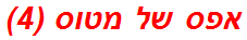 אפס של מטוס (4)