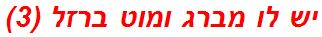 יש לו מברג ומוט ברזל (3)