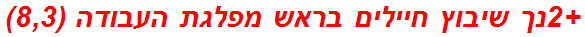+2נך שיבוץ חיילים בראש מפלגת העבודה (8,3)