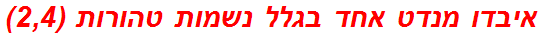 איבדו מנדט אחד בגלל נשמות טהורות (2,4)