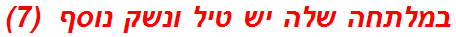 במלתחה שלה יש טיל ונשק נוסף  (7)