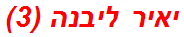 יאיר ליבנה (3)