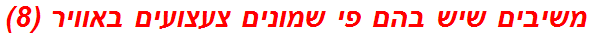 משיבים שיש בהם פי שמונים צעצועים באוויר (8)