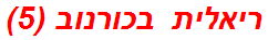 ריאלית בכורנוב (5)