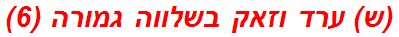 (ש) ערד וזאק בשלווה גמורה (6)