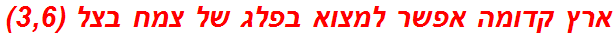 ארץ קדומה אפשר למצוא בפלג של צמח בצל (3,6)