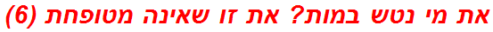 את מי נטש במות? את זו שאינה מטופחת (6)