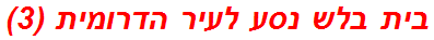 בית בלש נסע לעיר הדרומית (3)