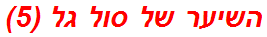 השיער של סול גל (5)