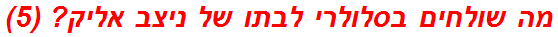 מה שולחים בסלולרי לבתו של ניצב אליק? (5)