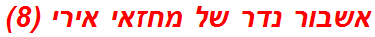 אשבור נדר של מחזאי אירי (8)