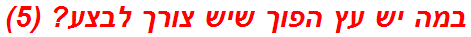 במה יש עץ הפוך שיש צורך לבצע? (5)