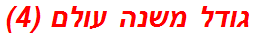 גודל משנה עולם (4)
