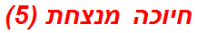 חיוכה מנצחת (5)