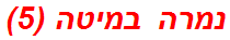 נמרה במיטה (5)