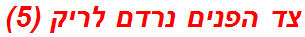 צד הפנים נרדם לריק (5)
