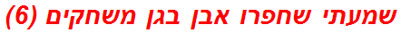 שמעתי שחפרו אבן בגן משחקים (6)