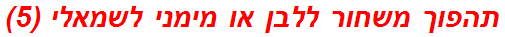 תהפוך משחור ללבן או מימני לשמאלי (5)