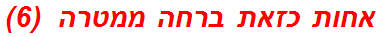 אחות כזאת ברחה ממטרה  (6)