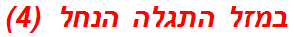 במזל התגלה הנחל  (4)