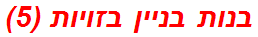 בנות בניין בזויות (5)