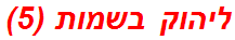 ליהוק בשמות (5)