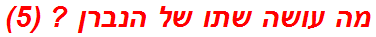 מה עושה שתו של הנברן ? (5)