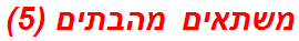 משתאים מהבתים (5)