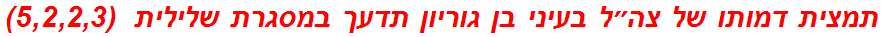 תמצית דמותו של צה״ל בעיני בן גוריון תדעך במסגרת שלילית  (5,2,2,3)