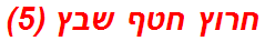 חרוץ חטף שבץ (5)