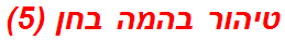 טיהור בהמה בחן (5)