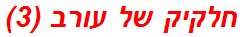 חלקיק של עורב (3)