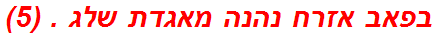 בפאב אזרח נהנה מאגדת שלג . (5)