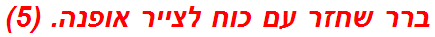 ברר שחזר עם כוח לצייר אופנה. (5)