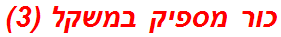 כור מספיק במשקל (3)