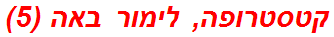 קטסטרופה, לימור באה (5)