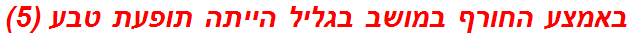 באמצע החורף במושב בגליל הייתה תופעת טבע (5)
