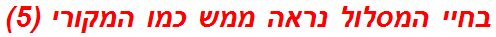 בחיי המסלול נראה ממש כמו המקורי (5)