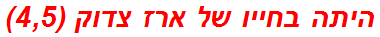 היתה בחייו של ארז צדוק (4,5)