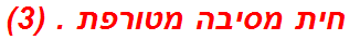  חית מסיבה מטורפת . (3)