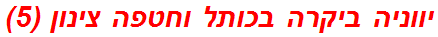יווניה ביקרה בכותל וחטפה צינון (5)