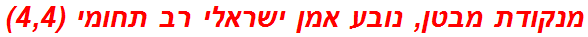 מנקודת מבטן, נובע אמן ישראלי רב תחומי (4,4)