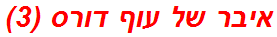 איבר של עוף דורס (3)