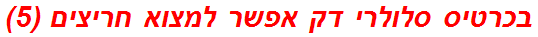 בכרטיס סלולרי דק אפשר למצוא חריצים (5)