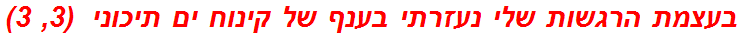 בעצמת הרגשות שלי נעזרתי בענף של קינוח ים תיכוני  (3, 3)