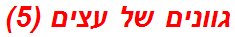 גוונים של עצים (5)